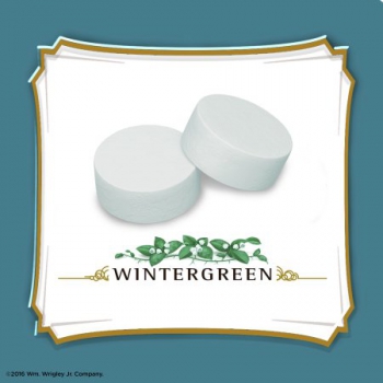 Altoids Wintergreen ca. 50g (1.75oz)